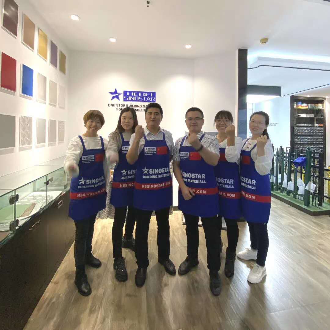 HB SINOSTAR TEAM2 HB SINOSTAR TEAM2