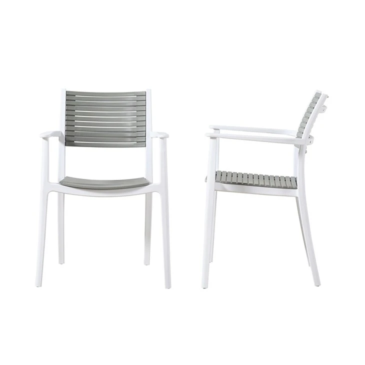 Plastic Modern Dining Chairs